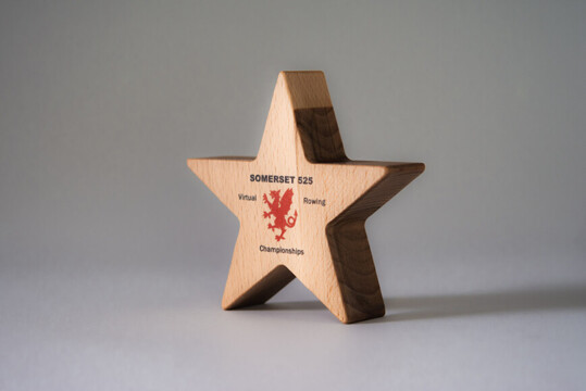 Printed sustainable wood award