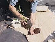 planting hessian
