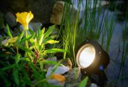 Pond Lighting